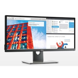 Dell UltraSharp U2917W Generalüberholt, LED-Monitor