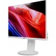 Lenovo C24d-20, LED-Monitor