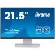 iiyama ProLite T2252MSC-W2, LED-Monitor