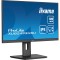 iiyama ProLite XUB2493HSU-B7, LED-Monitor