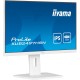 iiyama ProLite XUB2497HSN-W2, LED-Monitor