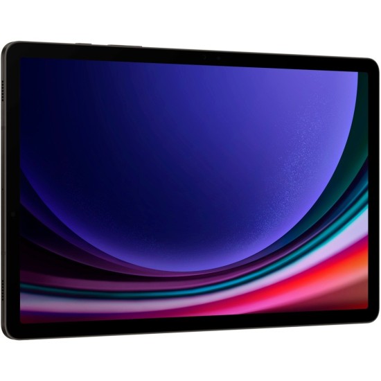 SAMSUNG Galaxy Tab S9 256GB , Tablet-PC