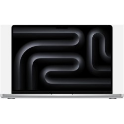 Apple MacBook Pro Silber CZ1FB-003001 - 35,6cm (14''), M4 Pro Chip 12-Core CPU, 16-Core GPU, 24GB Ram, 4TB SSD, 70W, Nanotexturglas