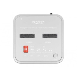 DeLOCK USB 3.0 Docking- und Klonstation M.2 NVMe/M.2 SATA/SD, Dockingstation