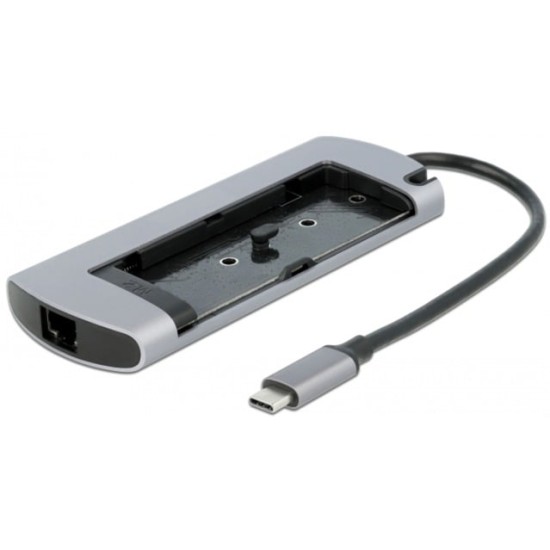 DeLOCK USB Type-C Dockingstation mit M.2 Slot