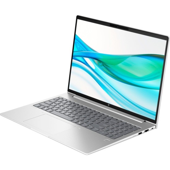 HP ProBook 465 G11 (9C0B9EA), Notebook