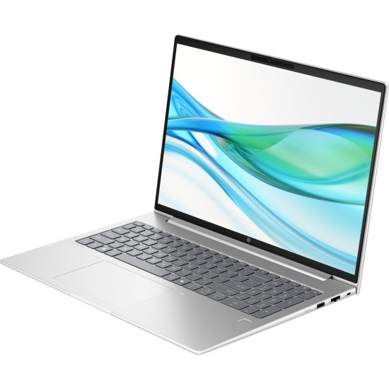 HP ProBook 465 G11 (9C0C0EA), Notebook