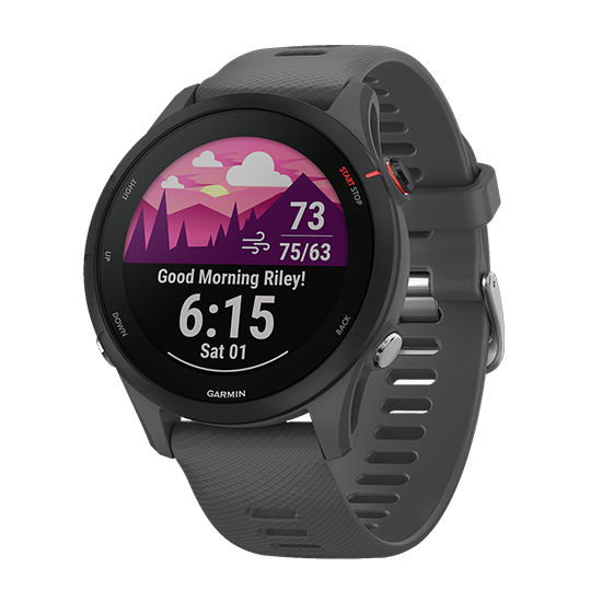 Watch Garmin Forerunner 255 GPS 33mm Graphite Band - Slate Black Watch Garmin Forerunner 255 GPS 33mm Graphite Band - Slate Black