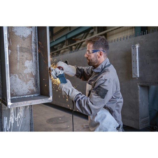 Bosch Winkelschleifer GWS 12-125 P Professional