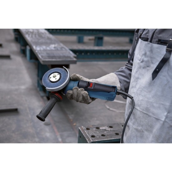 Bosch Winkelschleifer GWS 12-125 P Professional