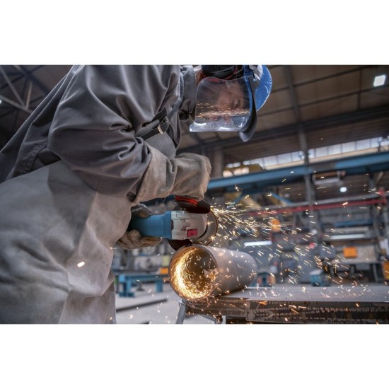 Bosch Winkelschleifer GWS 12-125 P Professional