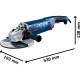 Bosch Winkelschleifer GWS 24-230 PZ Professional