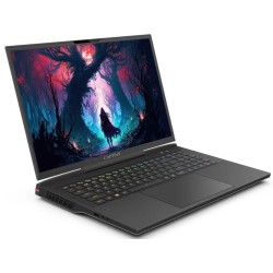 Captiva Advanced Gaming I86-099 17,3" WQXGA i9-14900HX 16GB/1TB SSD RTX4060 Win 11