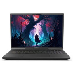 Captiva Advanced Gaming I86-099 17,3" WQXGA i9-14900HX 16GB/1TB SSD RTX4060 Win 11