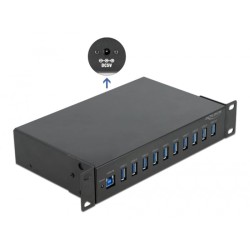 DeLOCK 25,4 cm (10") Industrie Hub 10 x USB 3.2 Gen 1 Typ-A, USB-Hub