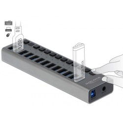 DeLOCK Externer SuperSpeed USB Hub mit 13 Ports + Schalter, USB-Hub