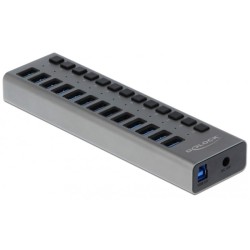 DeLOCK Externer SuperSpeed USB Hub mit 13 Ports + Schalter, USB-Hub
