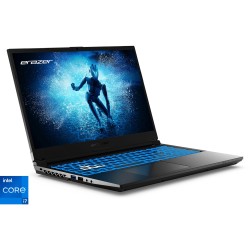 Medion ERAZER Deputy P60i (MD62688), Gaming-Notebook