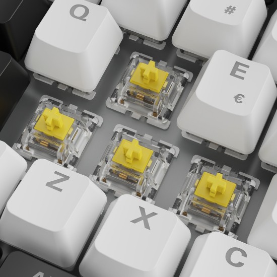 Sharkoon SKILLER SGK50 S3, Gaming-Tastatur