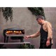 Witt Pizzaofen ETNA Rotante