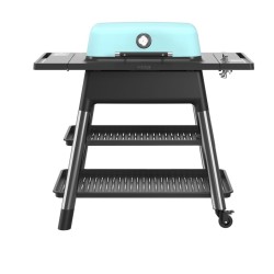 Everdure FORCE Gasgrill, Mint