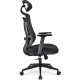 Sharkoon Bürostuhl OfficePal C10