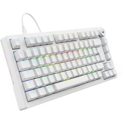 Sharkoon SKILLER SGK25, Gaming-Tastatur