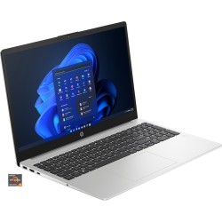 HP 255 G10 (816F8EA), Notebook