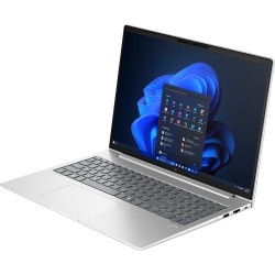 HP EliteBook 665 G11 (9C0H7EA), Notebook