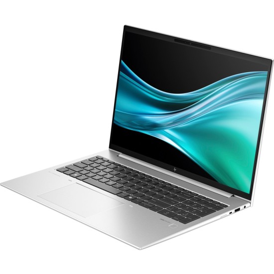 HP EliteBook 865 G11 (A26QLEA), Notebook