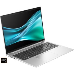 HP EliteBook 865 G11 (A26QLEA), Notebook