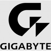 Gigabyte (28)